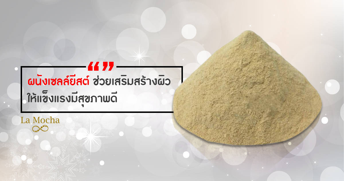 ครีม กันแดด ใย ไหม ยี่ห้อ ไหน ดี